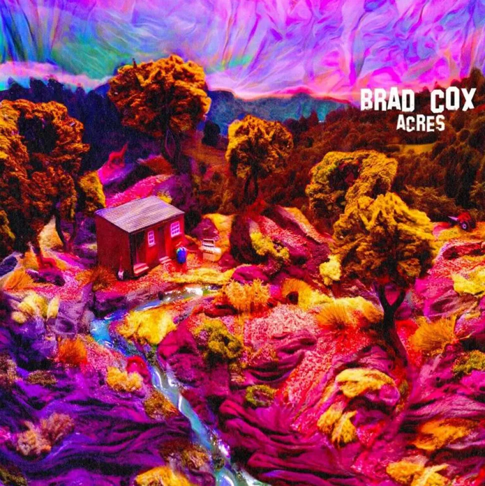 Brad Cox - Acres 2xLP Vinyl Record (Purple Coloured Vinyl)