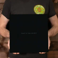 Bring Me The Horizon - That's The Spirit LP Vinyl Record