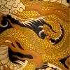 Bruce Lee - DGK x Bruce Lee Golden Dragon Lenticular Black 8.25" Skateboard Deck (Deck Only)