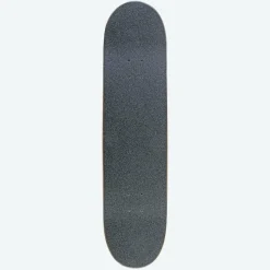 Bruce Lee - DGK x Bruce Lee Technique 8.25” Skateboard Deck (Complete Deck)