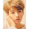 BTS - Love Yourself: Jung Kook Fine Art Print by Kildren