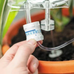 Bubblegum Stuff - Plant Life Support