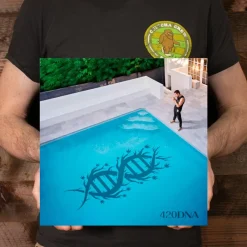 Chillinit - 420DNA LP Vinyl Record