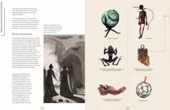 Compendium of the Occult: Arcane Artefacts, Magic Rituals and Sacred Symbolism by Liz Williams Hardcover Book