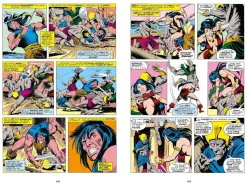 Conan the Barbarian - The Original Comics Omnibus Volume 03 Hardcover Book
