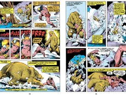 Conan the Barbarian - The Original Comics Omnibus Volume 02 Hardcover Book