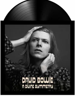 David Bowie - A Divine Symmetry (An Alternative Journey Through Hunky Dory) LP Vinyl Record