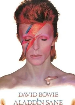 David Bowie - Aladdin Sane Poster (1244)