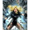 DC Comics - Black Canary Fine Art Print by Taurin Clarke
