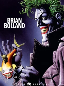 DC Comics - DC Poster Portfolio: Brian Bolland Paperback Book