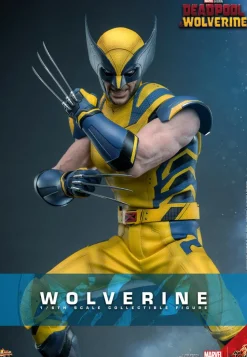 Deadpool & Wolverine (2024) - Wolverine 1/6th Scale Hot Toys Action Figure