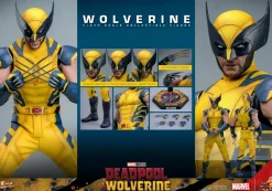 Deadpool & Wolverine (2024) - Wolverine 1/6th Scale Hot Toys Action Figure