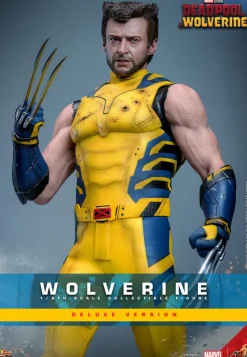 Deadpool & Wolverine (2024) - Wolverine Deluxe 1/6th Scale Hot Toys Action Figure