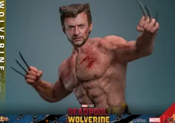 Deadpool & Wolverine (2024) - Wolverine (TVA Jacket Version) 1/6th Scale Hot Toys Action Figure