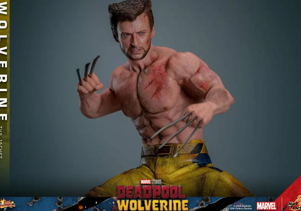 Deadpool & Wolverine (2024) - Wolverine (TVA Jacket Version) 1/6th Scale Hot Toys Action Figure