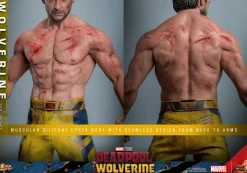 Deadpool & Wolverine (2024) - Wolverine (TVA Jacket Version) 1/6th Scale Hot Toys Action Figure