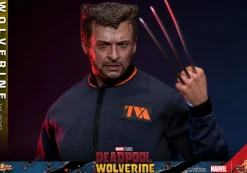 Deadpool & Wolverine (2024) - Wolverine (TVA Jacket Version) 1/6th Scale Hot Toys Action Figure