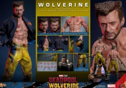 Deadpool & Wolverine (2024) - Wolverine (TVA Jacket Version) 1/6th Scale Hot Toys Action Figure