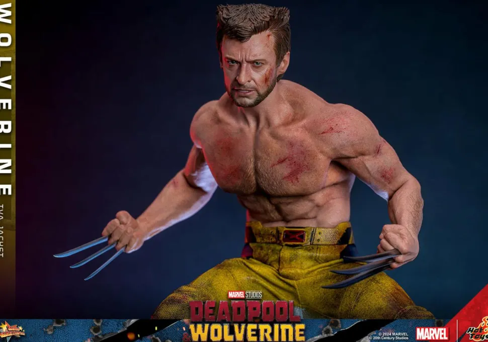 Deadpool & Wolverine (2024) - Wolverine (TVA Jacket Version) 1/6th Scale Hot Toys Action Figure