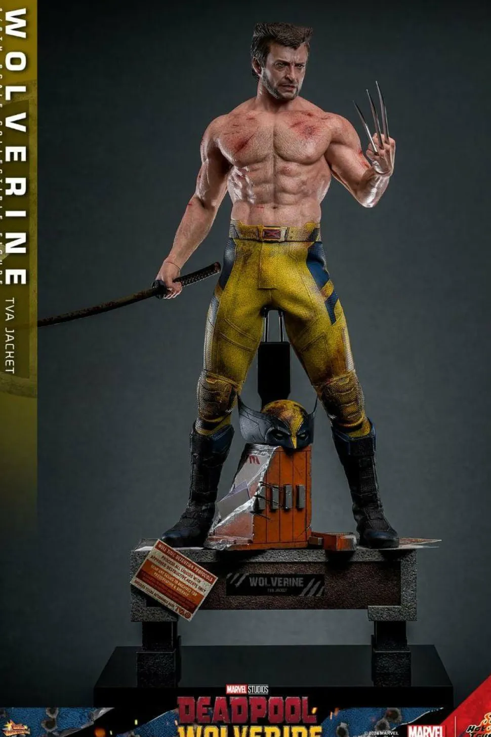 Deadpool & Wolverine (2024) - Wolverine (TVA Jacket Version) 1/6th Scale Hot Toys Action Figure