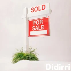 Didirri - Sold For Sale EP Vinyl Record