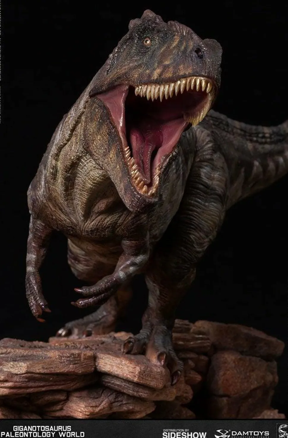 Dinosaurs - Giganotosaurus Paleontology World 12” Statue