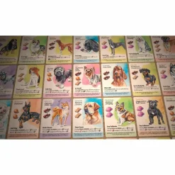 Dog Park - Board Game