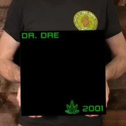 Dr. Dre - 2001 2xLP Vinyl Record
