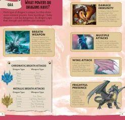 Dungeons & Dragons - Pocket Expert Paperback book