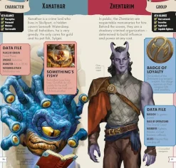Dungeons & Dragons - Pocket Expert Paperback book