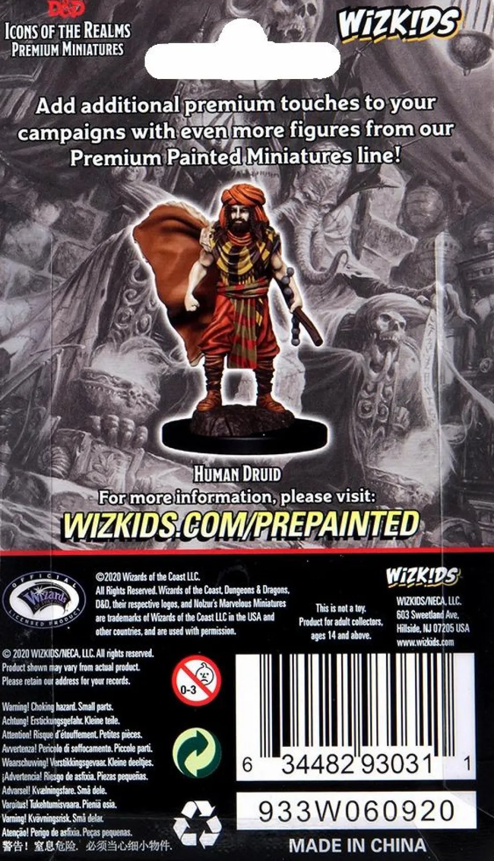 Dungeons & Dragons - Premium Human Druid Male Miniature