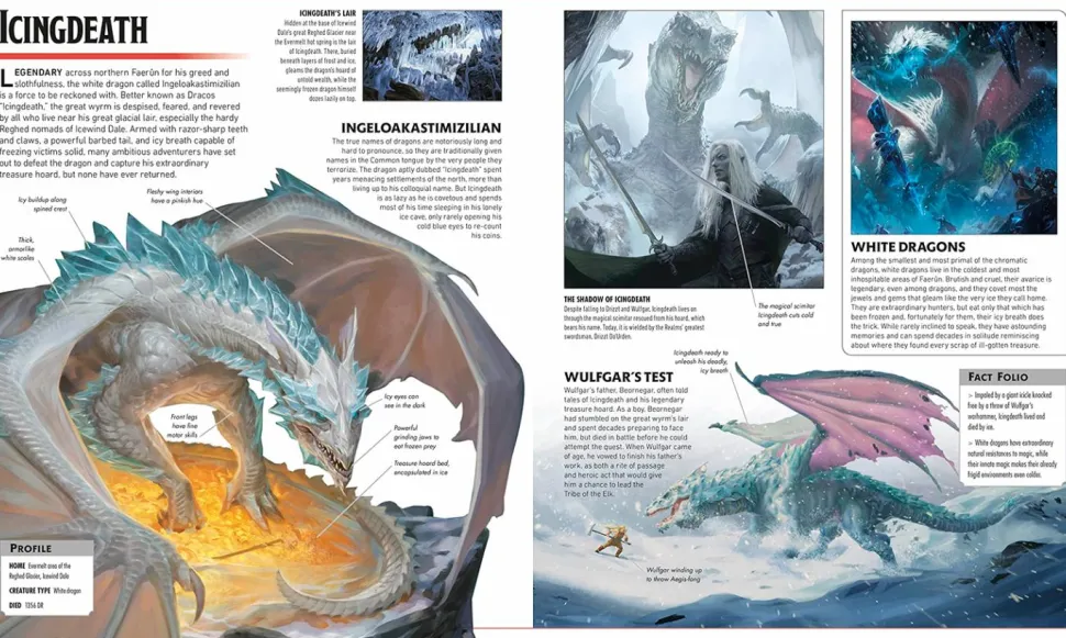 Dungeons & Dragons - The Legend of Drizzt Visual Dictionary Hardcover Book