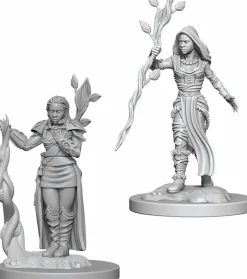 Dungeons and Dragons - Nolzur’s Marvelous Unpainted Mini’s Human Female Druid Miniature Figure 2-Pack