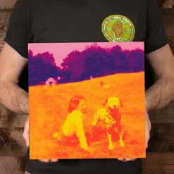 Eels - Blinking Lights and Other Revelations 3xLP Vinyl Record (Purple Coloured Vinyl)
