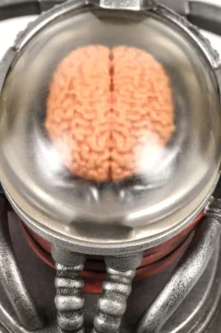 Fallout - Robobrain 5