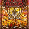 Flesh and Blood - Trading Card Game Dusk till Dawn Booster Pack (10 Cards)