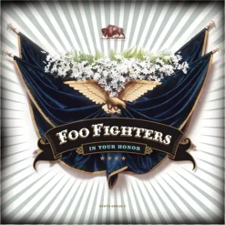 Foo Fighters - In Your Honor 2xLP Vinyl Record