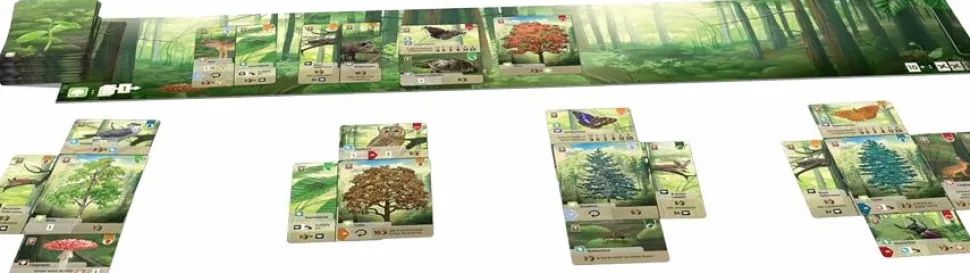 Forest Shuffle - Card Game