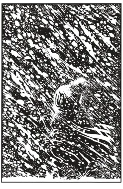 Frank Miller's Sin City - Volume 06 Booze, Broads, & Bullets Back Trade Paperback Book