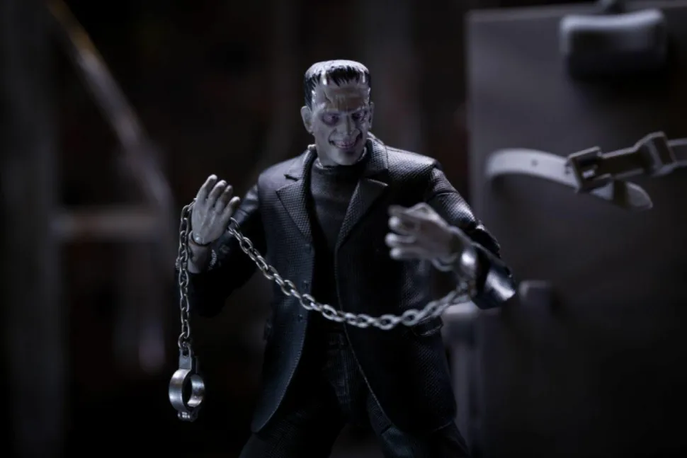 Frankenstein (1931) - The Monster Deluxe 6” Action Figure Box Set