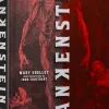 Frankenstein by Mary Shelley Deluxe Edition Hardcover Book