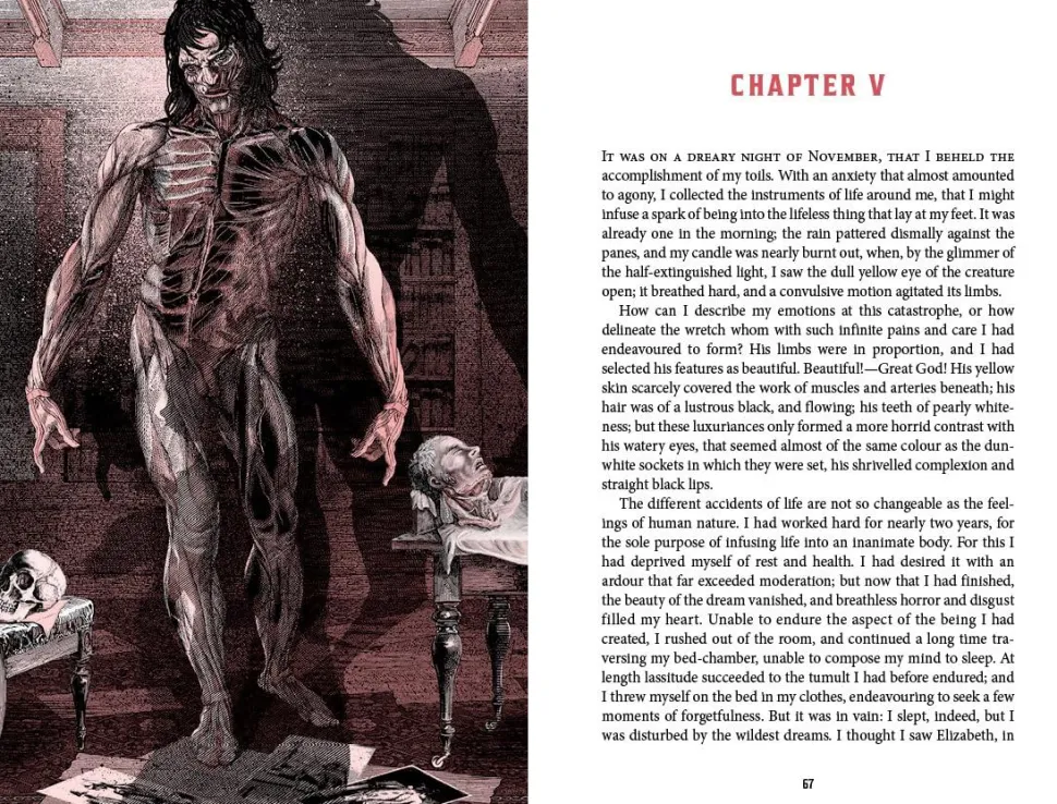 Frankenstein by Mary Shelley Deluxe Edition Hardcover Book