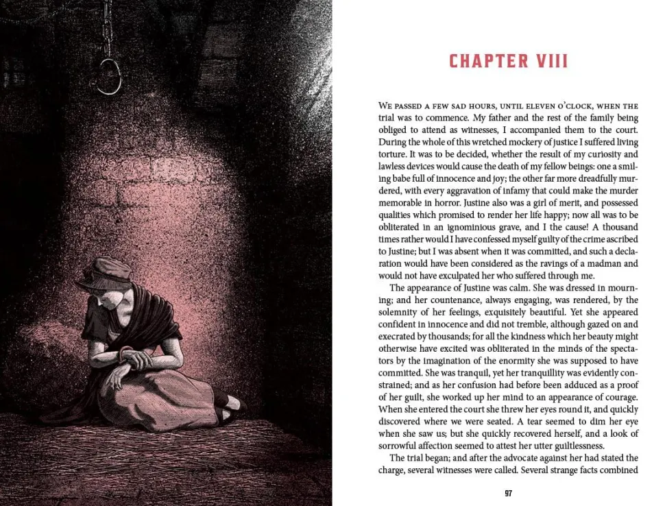 Frankenstein by Mary Shelley Deluxe Edition Hardcover Book