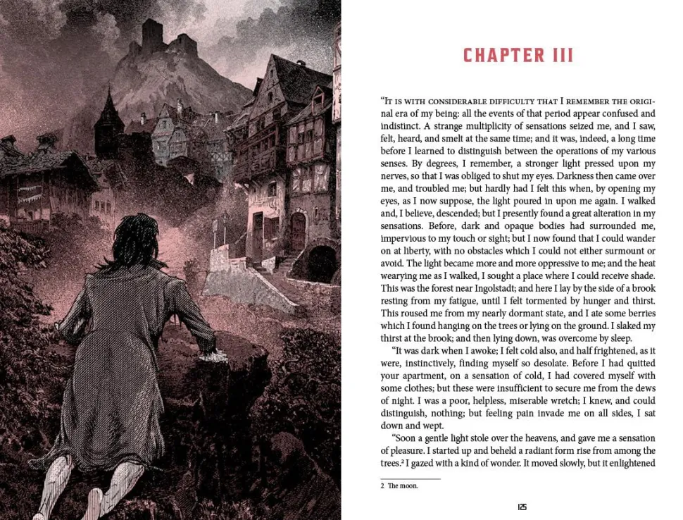 Frankenstein by Mary Shelley Deluxe Edition Hardcover Book