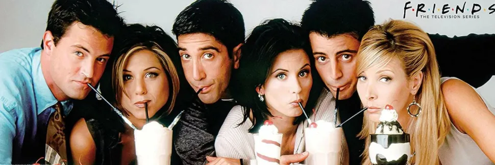 Friends - Milkshake 1000 Piece Slim Jigsaw Puzzle