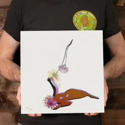 Future Islands - The Far Field LP Vinyl Record (Indie Exclusive White Vinyl)