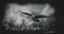Game of Thrones - Winter Is Coming (Logo) Black Male T-Shirt