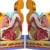 Garfield - Garfield XXPOSED 7" Statue