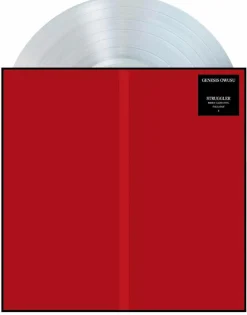 Genesis Owusu - Struggler LP Vinyl Record (Indie Exclusive Clear Vinyl)