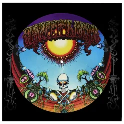 Grateful Dead - Aoxomoxoa 50th Anniversary LP Vinyl Record (Picture Disc)